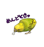ウチの子ミドちゃん（個別スタンプ：11）