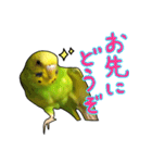 ウチの子ミドちゃん（個別スタンプ：13）