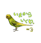 ウチの子ミドちゃん（個別スタンプ：15）