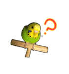 ウチの子ミドちゃん（個別スタンプ：28）