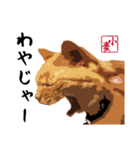 小麦の方言（西日本編）（個別スタンプ：5）