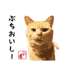 小麦の方言（西日本編）（個別スタンプ：7）