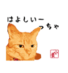 小麦の方言（西日本編）（個別スタンプ：14）