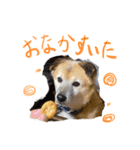 ボブ part 1（個別スタンプ：6）