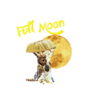 Happy Rock cat 13（個別スタンプ：2）