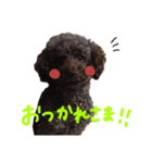 小吉パラダイス（個別スタンプ：1）