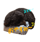小吉パラダイス（個別スタンプ：6）