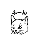 しろいねこたちのすたんぷ（個別スタンプ：1）