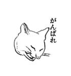 しろいねこたちのすたんぷ（個別スタンプ：6）