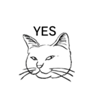 しろいねこたちのすたんぷ（個別スタンプ：10）