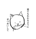 しろいねこたちのすたんぷ（個別スタンプ：19）
