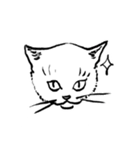 しろいねこたちのすたんぷ（個別スタンプ：24）