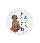 aosuzuスタンプ3（個別スタンプ：34）