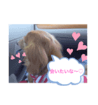 ピュアちゃん❤️（個別スタンプ：4）