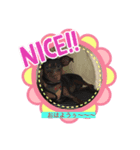 動物END（個別スタンプ：2）