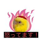 動物END（個別スタンプ：4）