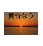 ナウい旅行（個別スタンプ：5）