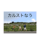 ナウい旅行（個別スタンプ：7）