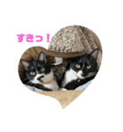 しろくろねこのまめとむぎ（個別スタンプ：7）