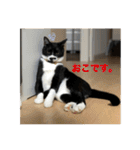 しろくろねこのまめとむぎ（個別スタンプ：17）