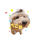 おぷー子のスタンプ（個別スタンプ：21）
