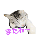ルル★チー★くぅ（個別スタンプ：3）