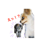 ルル★チー★くぅ（個別スタンプ：4）