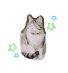 ルル★チー★くぅ（個別スタンプ：5）