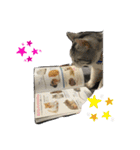 ルル★チー★くぅ（個別スタンプ：6）