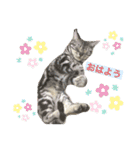 ルル★チー★くぅ（個別スタンプ：17）