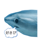 なやたのたんさたやたやわ（個別スタンプ：5）