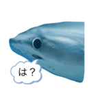 なやたのたんさたやたやわ（個別スタンプ：9）