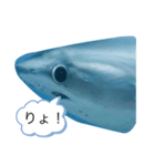なやたのたんさたやたやわ（個別スタンプ：13）