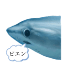 なやたのたんさたやたやわ（個別スタンプ：16）