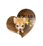 みゆ＆りー（個別スタンプ：1）