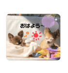みゆ＆りー（個別スタンプ：4）