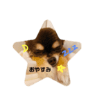 みゆ＆りー（個別スタンプ：5）