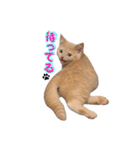 毎日そいまる（個別スタンプ：15）