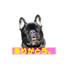 フレブルのデン2（個別スタンプ：8）
