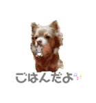 チビくん♡（個別スタンプ：9）