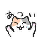 可愛い猫かぱちくんたち（個別スタンプ：6）