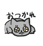 可愛い猫かぱちくんたち（個別スタンプ：25）