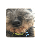 バディー★（個別スタンプ：4）