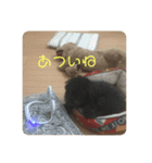 バディー★（個別スタンプ：6）