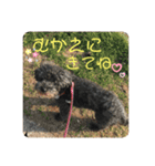 バディー★（個別スタンプ：8）