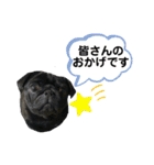愛犬スタンプ 敬語編（個別スタンプ：9）