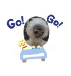 toyo dog（個別スタンプ：3）