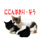 トーフとゆば（個別スタンプ：7）