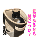 トーフとゆば（個別スタンプ：12）
