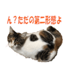 トーフとゆば（個別スタンプ：14）